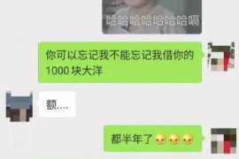 驻马店企业清欠服务